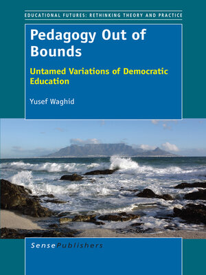 cover image of Pedagogy Out of Bounds